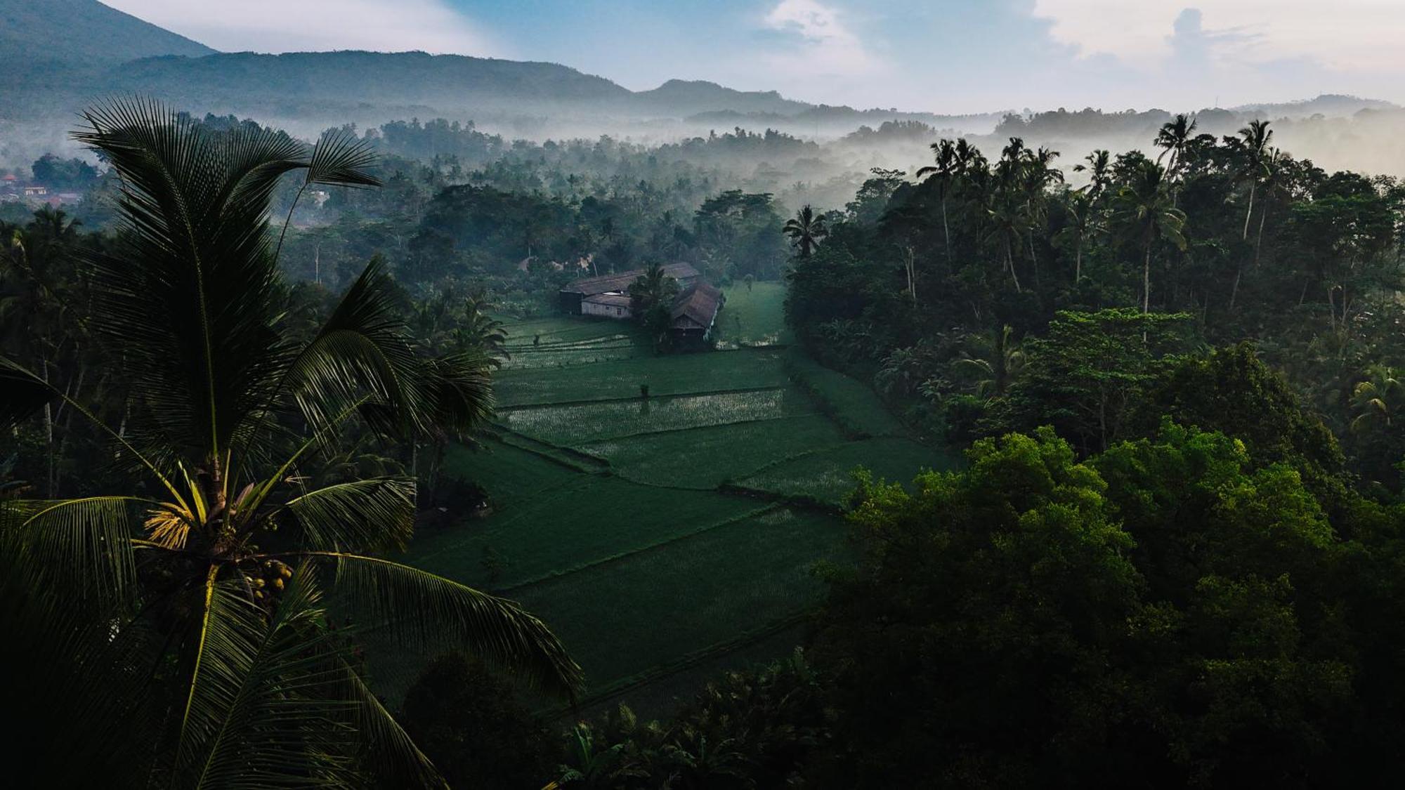 サイドメン Arcada Bali Bamboo Houseヴィラ エクステリア 写真
